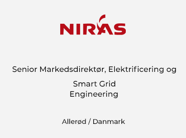 Senior Markedsdirektør, Elektrificering og Smart Grid