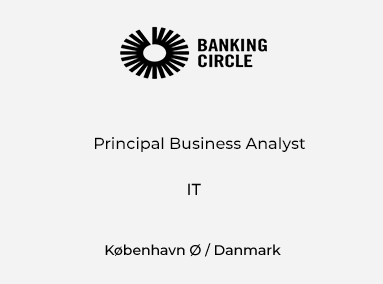 Principal Business Analyst
