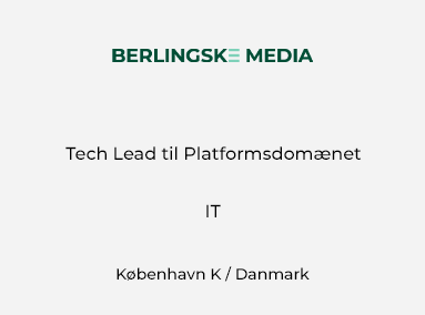 Tech Lead til Platformsdomænet