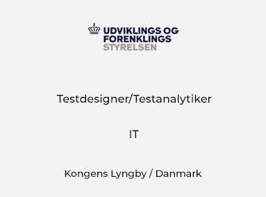 Testdesigner/Testanalytiker