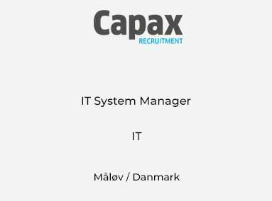 IT System Manager