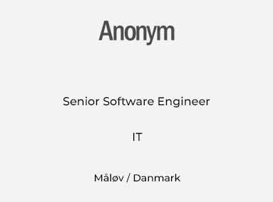 Senior Software Engineer