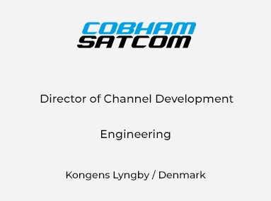 Director of Channel Development