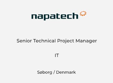 Senior Technical Project Manager