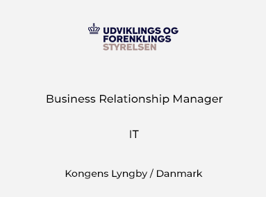 Business Relationship Manager